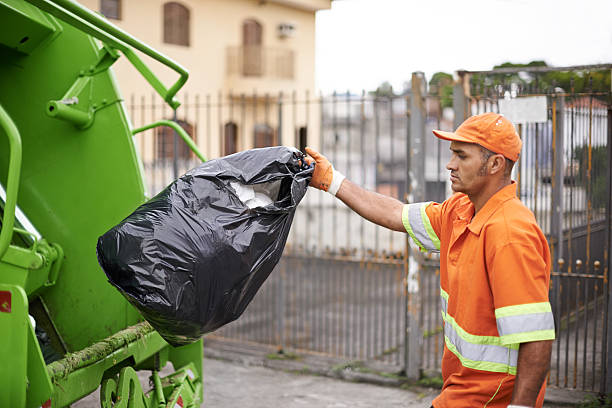 Yard Cleanup Services in South Brooksville, FL